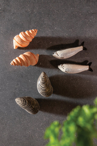 &Klevering Mussel Salt & Pepper Shakers - La Gent Thoughtful Gifts