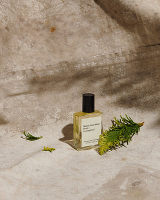 Maison Louis Marie No.02 Le Long Fond Perfume Oil - La Gent Thoughtful Gifts