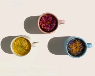 The Qi Floral Tasting Collection Tea - La Gent Thoughtful Gifts